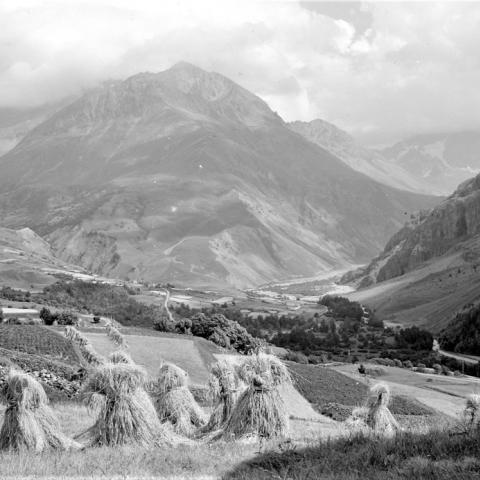 photo noir et blanc paysage montagne agriculture